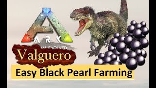 ARK Valguero  Easy Black Pearl amp Silica Pearl Farming Guide [upl. by Sadie244]