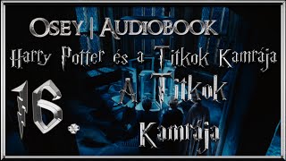 Harry Potter és a Titkok Kamrája hangoskönyv  16 fejezet [upl. by Maclaine425]