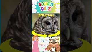 Qual Animal Pode Girar a Cabeça Quase 360 Graus  Educa Quiz  15 educakidsbrasil [upl. by Nylcoj]