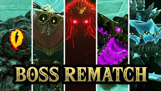 Zelda Tears of the Kingdom  All Major Bosses Rematch In The Depths HQ [upl. by Aenil849]