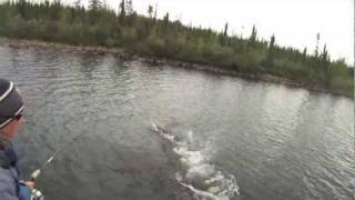 Pike Fishing Fish Fights 1 [upl. by Kennett]