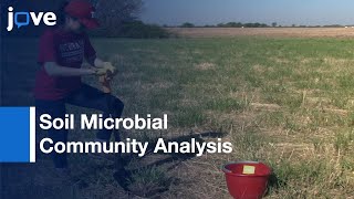 Soil Microbial Community Analysis [upl. by Anihsak]