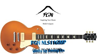 FGN NLS11GMP demo by Jimmy Lin [upl. by Naimad]