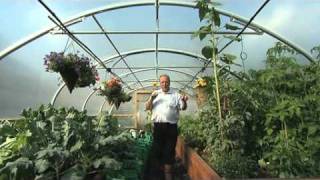 Automatic Irrigation inside a Polytunnel  V64 [upl. by Ricki]