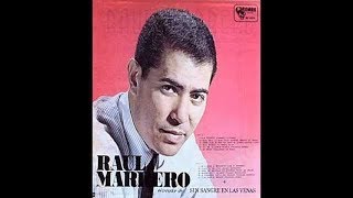 Raul Marrero  Nariz Millonaria [upl. by Nodyroc]