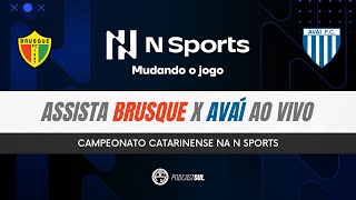 Assista Brusque x Avaí AO VIVO NSports [upl. by Gerkman]