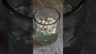 How to Make Ceremonial Mushroom Tea [upl. by Broderic]