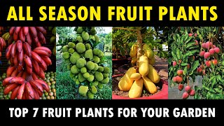 All Season Fruit Plants  Best All season Fruit Plants that can be grown in your Garden [upl. by Dannie]