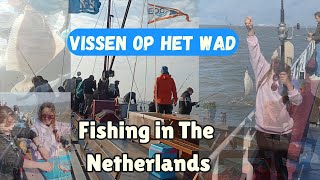 Fishing in the Wadden Sea  Sportvissen vissen  Netherlands  Shiela Piet [upl. by Ietta]