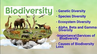 Megadiversity nations Countries  India as a Megadiversity country  Biodiversity [upl. by Kory]