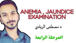 anemia  jaundice examination د مصطفى الزيادي [upl. by Nema]