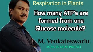 The Respiratory Balance Sheet  Respiration in Plants [upl. by Aisinoid238]