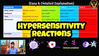 Hypersensitivity Reactions Type 1234  Allergy amp Treatment  Tamil  Immunology  ThiNK Biology [upl. by Harle]