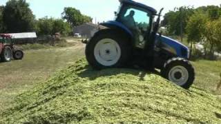 Ensilage 2010 Vincentmp4 [upl. by Domph227]