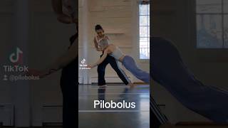 Microdose Pilobolus from New Duet exploring moves [upl. by Koloski125]