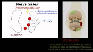 Nerve Gases [upl. by Eillit368]