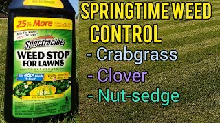 How to Kill Crabgrass and Clover in the Lawn  Springtime Weed Control [upl. by Paule]