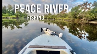 Fishing on the Peace River Florida [upl. by Niboc]