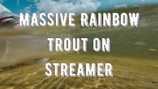 Massive Rainbow trout on Streamer  Fly Fishing for Trout  Oxfordshire  UK [upl. by Rew]