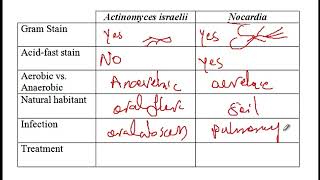 USMLE ACE Video 76 Actinomyces and Nocardia [upl. by Nosloc]