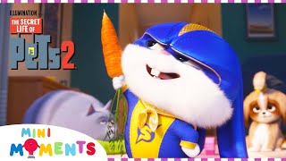 The Secret Life of Pets 2016 Meet Duke Universal Pictures [upl. by Melan]