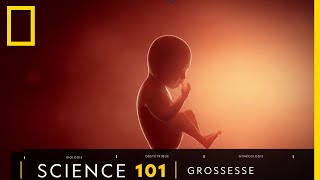 Tout comprendre sur  la grossesse [upl. by Ivz462]