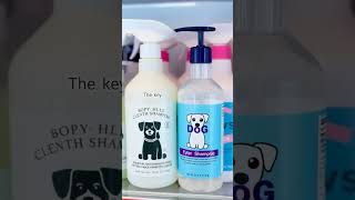 How to Bathe Your Dog the Right Way 🐾 [upl. by Solange486]