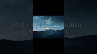 ISHQ  Faheem Abdullah Rauhan Malik  Slowed And Reverb [upl. by Olenta]