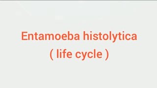 Entamoeba histolytica life cycle hindi Amoebic dysentry parasitic protozoan sciencespectrum07 [upl. by Monafo45]