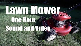 Lawn Mower Sound and Video 1 Hour [upl. by Gorlicki757]