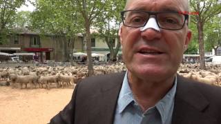 Vinon sur Verdon Transhumance 2017 [upl. by Taffy]