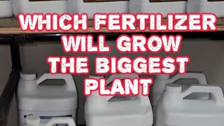 3 fertilizers ill be comparing FOOP CURRENT CULTURE H20 AND KING SOLOMAN [upl. by Elorak]