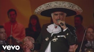 Vicente Fernández  La Diferencia En Vivo [upl. by Anoy]