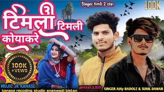 timli song 2024।। टिमली सॉन्ग 2024। Singer Sunil dawar and Ajay badole।। [upl. by Lissy]