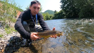 Quality over Quantity Tough Day on the Water Fly Fishing Update PA for Wild Brown Trout [upl. by Thgiwd]