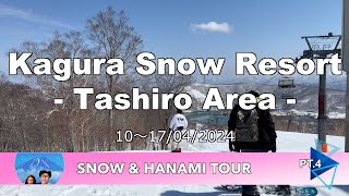 Kagura Snow Resort  Tashiro Area   Snow amp Hanami Tour Pt4 [upl. by Sower]