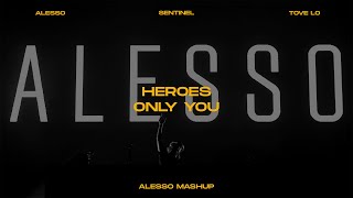 Heroes x Only You Alesso Mashup [upl. by Osnofedli]