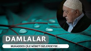 DAMLALAR  Mukaddes Çile Nöbeti Sizlerdeyse [upl. by Ainna634]