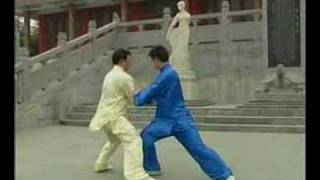 Taiji  Chen Style Pushhand Zhang Dongwu [upl. by Hannah]