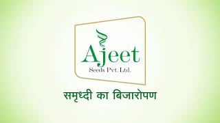 Ajeet seeds Pvt Ltd Aurangabad Maharashtra [upl. by Nylakcaj]