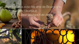 RendezVous avec les Vins de Bourgogne  l’appellation Meursault vue par Stéphane FollinArbelet [upl. by Esekram]