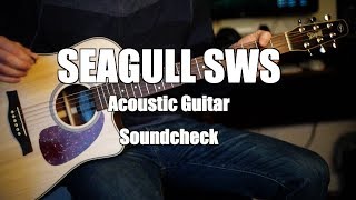 Seagull Maritime SWS Acoustic Guitar Sound Test [upl. by Kathlin676]