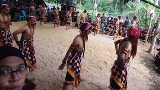 warok temanggung klembutan makin keren warok waroktemanggung keseniantradisional kesenian [upl. by Andrien73]