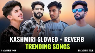 Top All Time Top 7 Kashmiri Slowed  Reverb Hit Songs  Trending Kashmiri Songs [upl. by Denys]