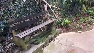 A Walking Tour Of Welchman Hall Gully In St Thomas Barbados🇧🇧 2 [upl. by Dahaf]