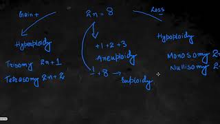 Chromosomal Abbreations Explained [upl. by Alrrats966]