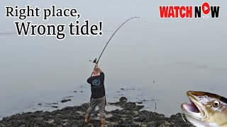 SHORE FISHING UK  RIGHT PLACE WRONG TIDE  FISHING FOR COD AND BASS [upl. by Ibson567]