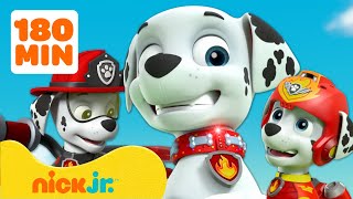 PAW Patrol  ¡3 horas de los MEJORES momentos de Marshall  Nick Jr en Español [upl. by Anilorac513]