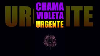 CHAMA VIOLETA URGENTE chamavioleta [upl. by Ettennaj484]