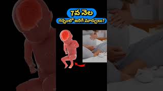 7వ నెల గర్భంలో జరిగే మార్పులు  7 months pregnancy and baby growth [upl. by Ahtamat231]